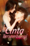 Cinta Tersembunyi Cinta Tersembunyi
