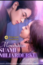 Cinta Menemukannya Usai Bercerai