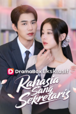 Rahasia Sang Sekretaris